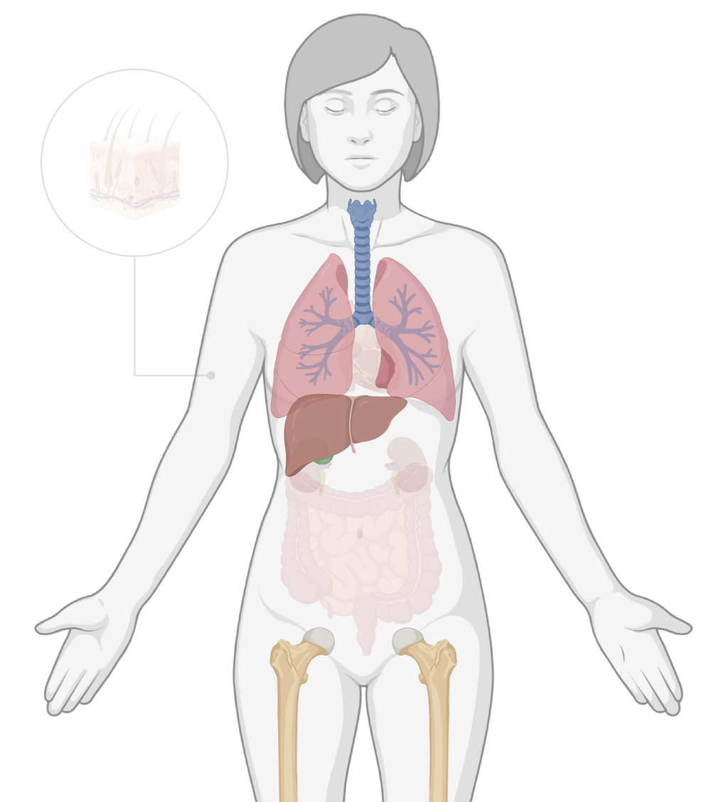 TissueSpec® Multi-Organ Metastasis dECM Kit