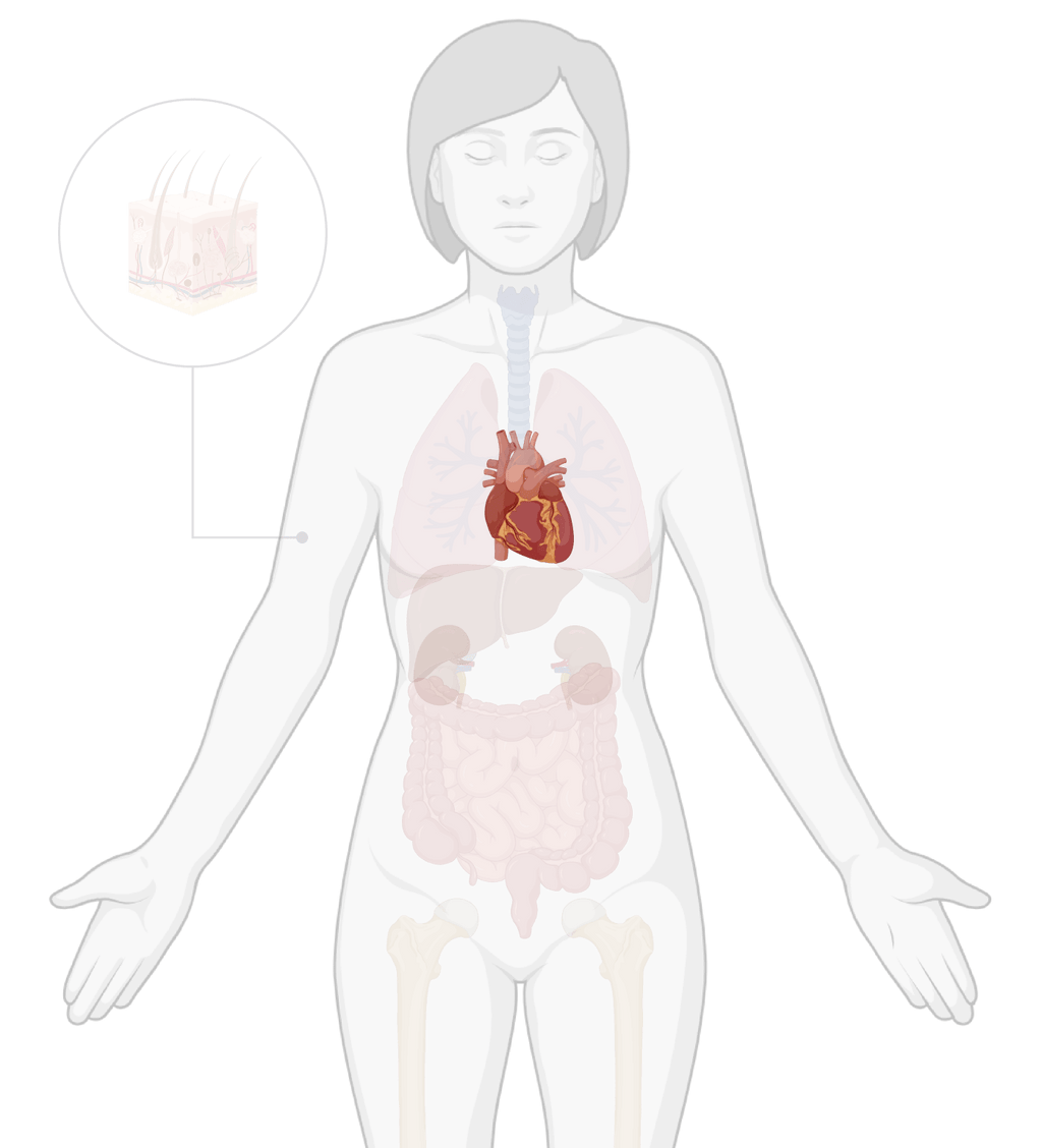 TissueSpec® Heart dECM Kits