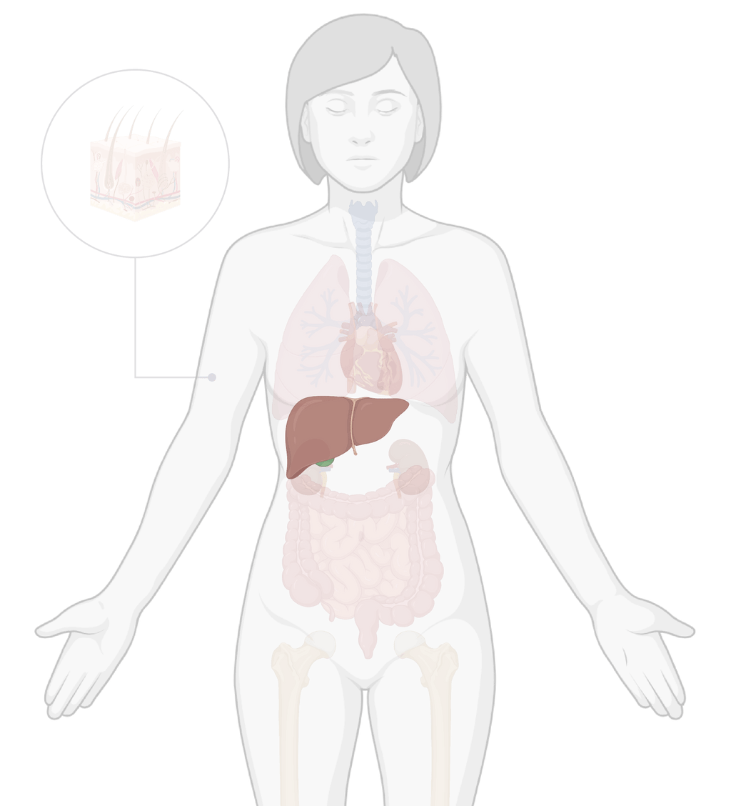 TissueSpec® Liver dECM Kits