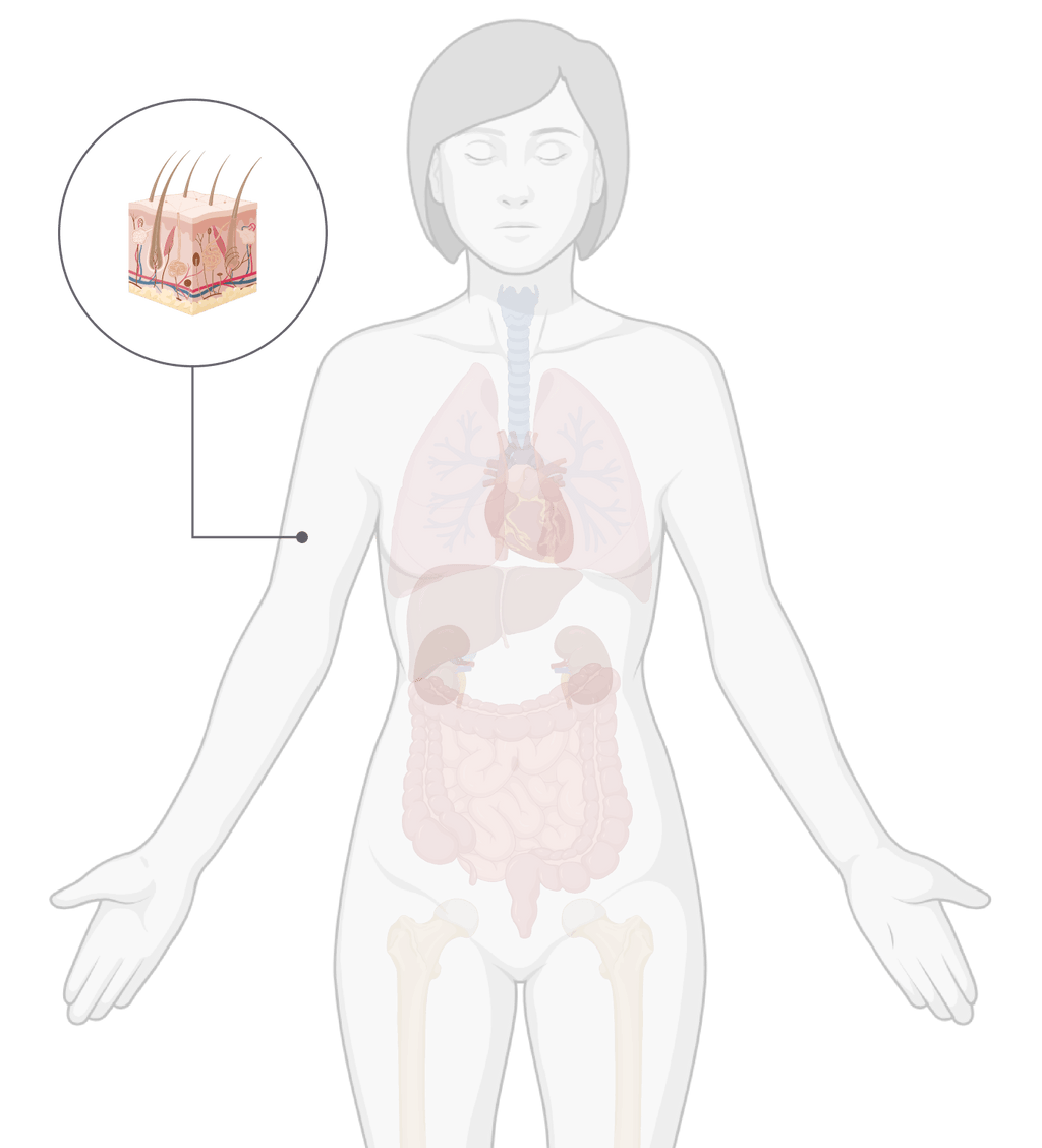 TissueSpec® Skin dECM Kits