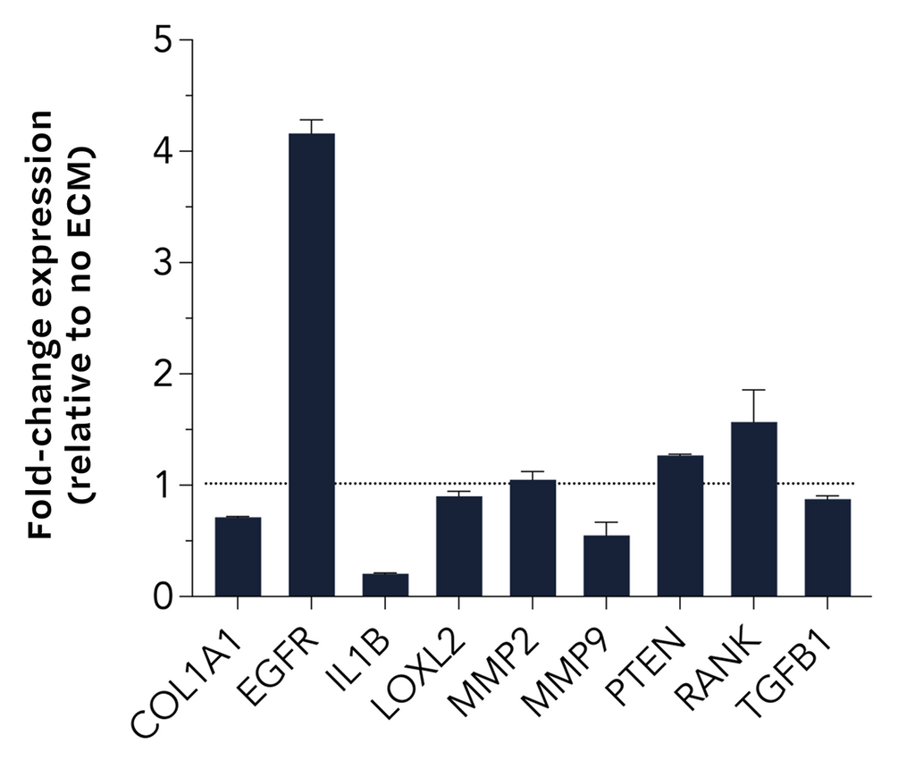 TissueSpec® Bone dECM Coating Kit: Gene expression in BT-549 breast cancer cells.