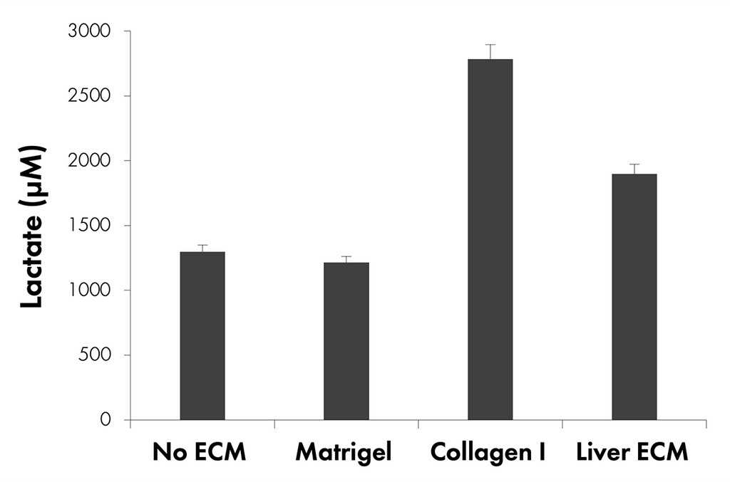 TissueSpec® Liver dECM Coating Kit: Metabolic activity of T-47D breast cancer cells.
