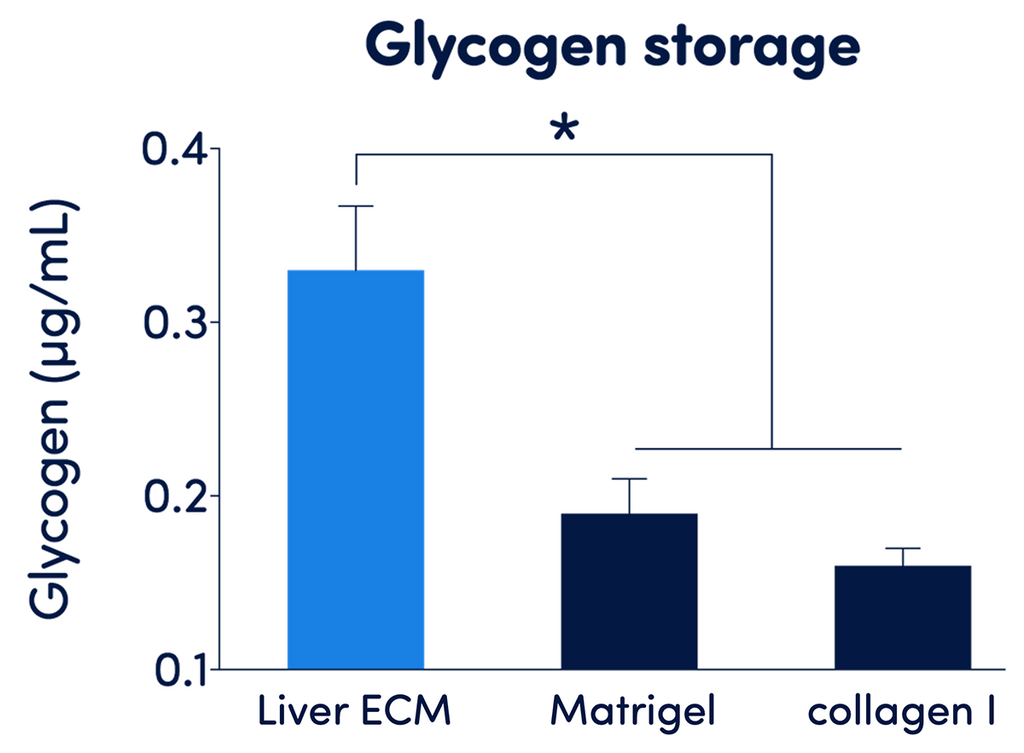 TissueSpec® Liver dECM Hydrogel Kit: Glycogen storage in hepatocarcinoma cells.