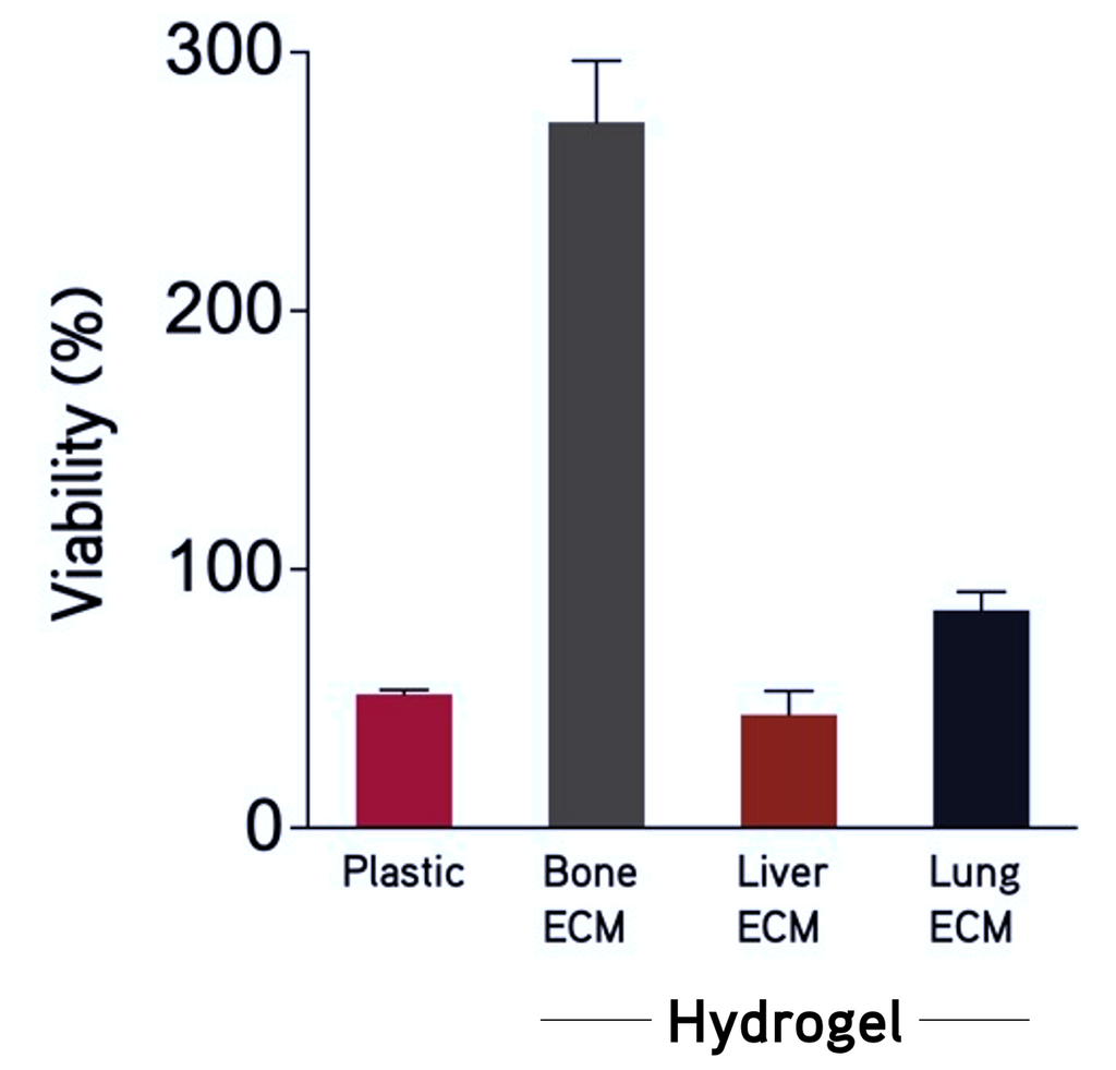 TissueSpec® Bone dECM Hydrogel Kit: Cell viability assay of primary human osteoblasts.