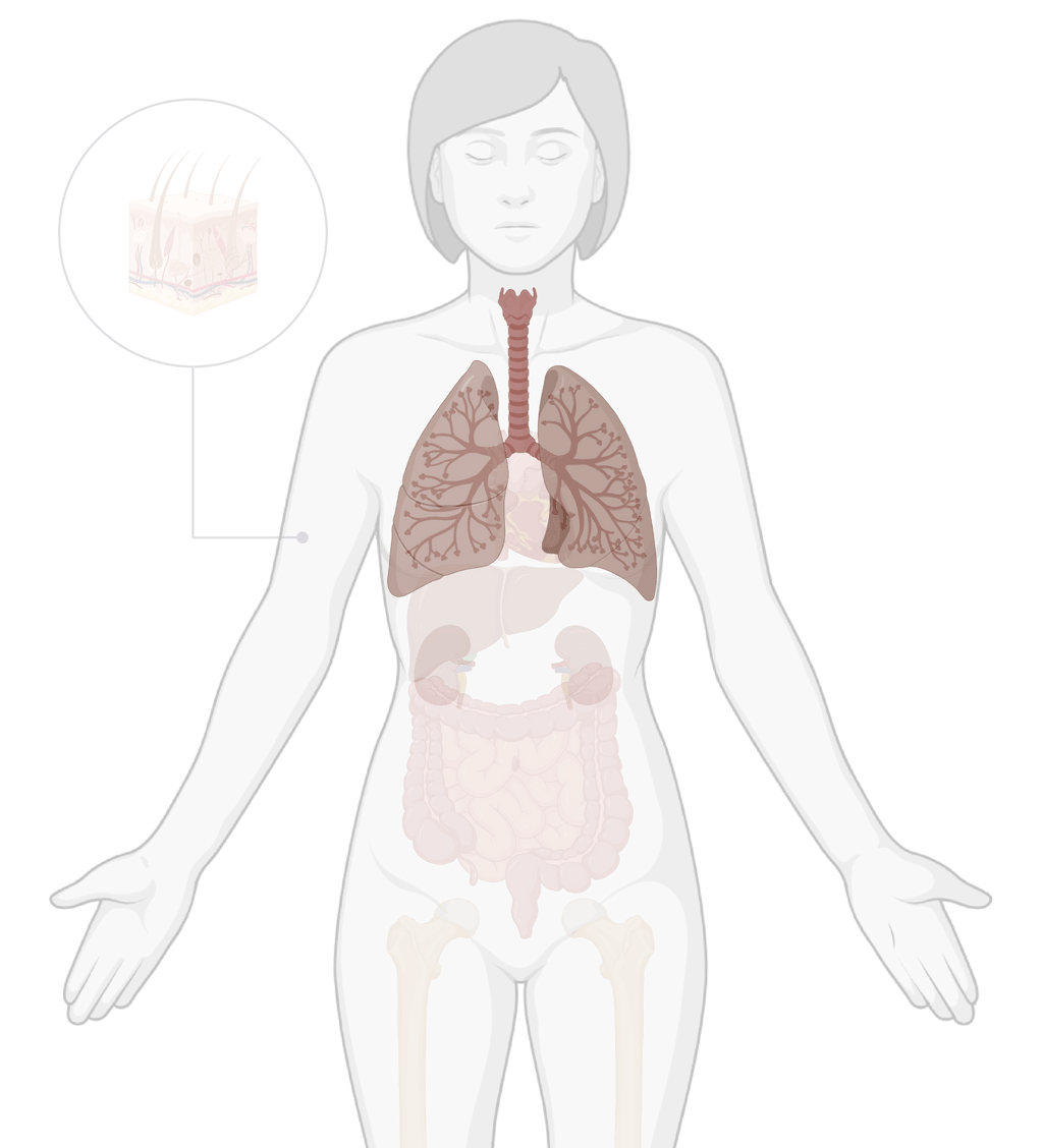 TissueSpec® Human Lung Fibrotic dECM Kit