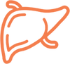 Liver ECM
